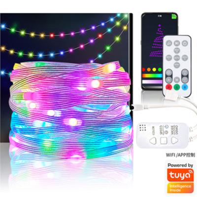 China Hot Smart Outdoor Indoor Decoration 5050 RGB Multi Color Music Waterproof Outdoor and LED Strip Christmas lightswith Power Adapte for sale