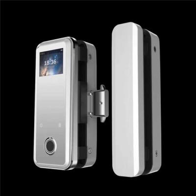 China Remote control aluminum alloy door lock wifi fingerprint password galss door lock office building smart lock for sale