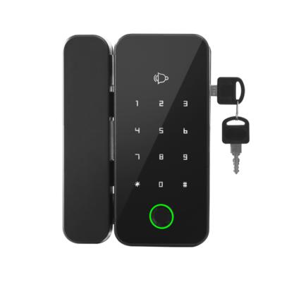 China Aluminum Alloy Bilixo Amazon Selling Keyless Remote Control Electronic Smart Fingerprint Sliding Password Hidden Digital Internal Glass Door Lock for sale