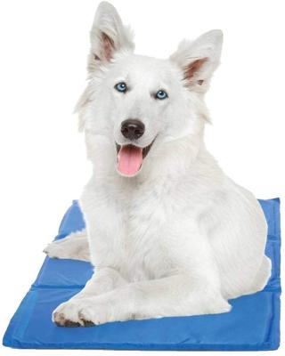 China Amazon Hot Sale Travel Pet Bed Portable Pet Cooling Mat Water Resistant Travel Dog Mat for sale