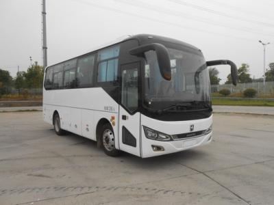 China 10-34 Seats Single Door Coach Electric Sightseeing Bus With Customizable Luxury Design for sale