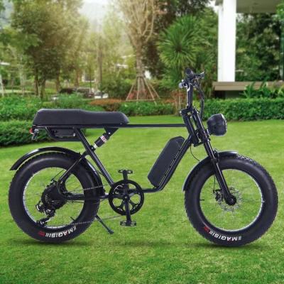 China Aluminum alloy electric bike 20 inch fat bike /48V 500W 750W motor steel frame e bike full suspension /7 speed electric fat bike for sale