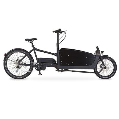 China 2022 aluminum alloy popular families electric tricycle, Germany electric tricycle for pet, electric bicycle electric tricycle bike tricycle for sale