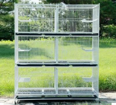 China Breathable Easy Installing Cat Kennels Galvanized Steel Pet Kennels for sale