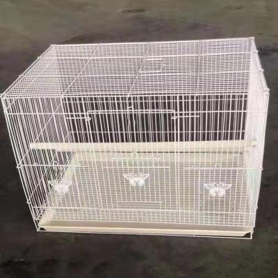 China Breathable Metal Square Cage For Birds Powder Coated Iron Mesh Cages For Birds for sale