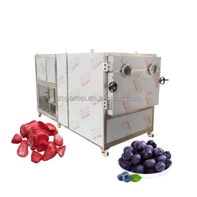 China Medicine Curing Hot Sale Continuous High Quality Vacuum Freeze Dry Machine for sale