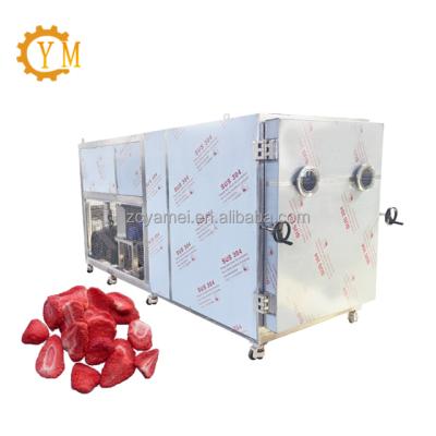 China Medicine Processing Commercial Vacuum Freeze Dryer For Fruit Vegetalbes Meat Freeze Drying for sale