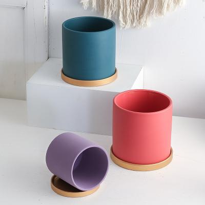 China Eco-friendly Modern Colorful Matt Large Cylinder 4.3 Inch Indoor Ceramic Planter Pot Ceramic Flower Pots for sale