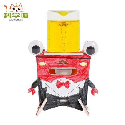 China Educational Toys Stem Science Kits Diy Physics Education Toys Kids for sale