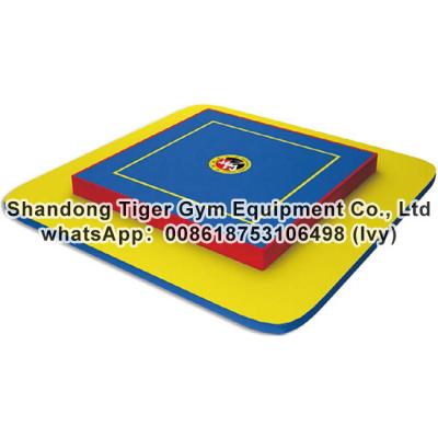 China Sanda Equipment / Free Combat Equipment / Sanda Platform / Sanda Training Mat / Free Combat platform for sale