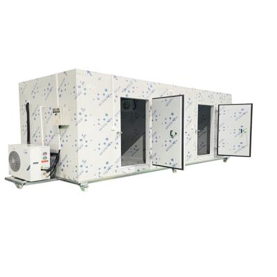 Cina China Fireproof Soundproof Sandwich Panel Cold Room for Frozen Food Storage in vendita