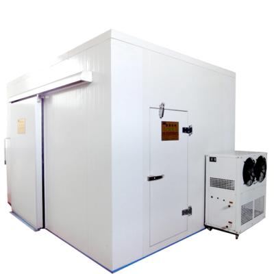 중국 China Supplier Refrigeration Equipment Freezing Room Cold Storage 판매용