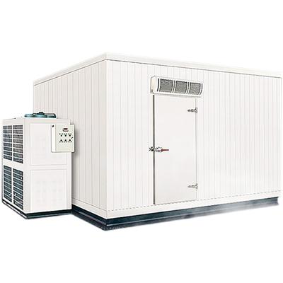 Cina Manufacture Deep Blast Freezer Cold Room for Fresh Meat Frozen Meat in vendita