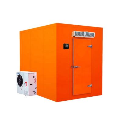 China Low Cost Cold Room Container Cold Room for Meat Fruits Vegetables Fish for sale