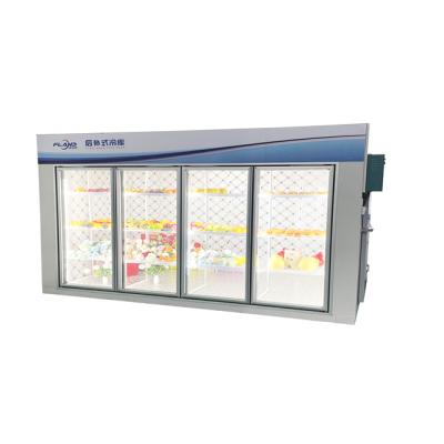 Cina Malaysia small blast freezers for food glass door display cold room for Potato Vegetable Meat in vendita