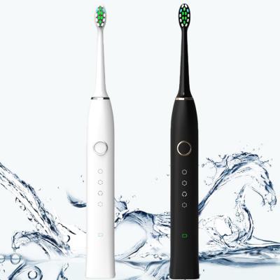 China IPX7 Sonic Heads Electric Tooth Brush USB Rechargeable Cheap Adult Waterproof Portable OEM Customized for sale