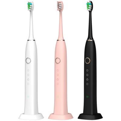 China Pink 2021 OEM IPX7 Rechargeable Toothbrush Professional Portable Electronic Automatic Sonic Heads Electric Tooth Brush USB Soft White Rohs for sale