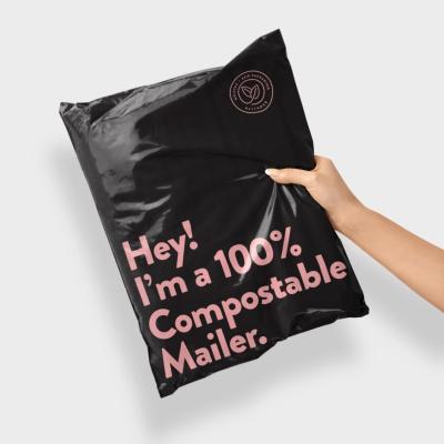 China Poly Mailer Bag Moisture Proof Transport Mailer Plastic Bag for sale