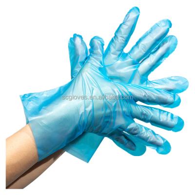 China High Quality Hospital Medica Food Grade Kitchen Glove Disposal Daily Life Waterproof Gloves Used For Food Restaurant Kitchen Household Or Simple for sale