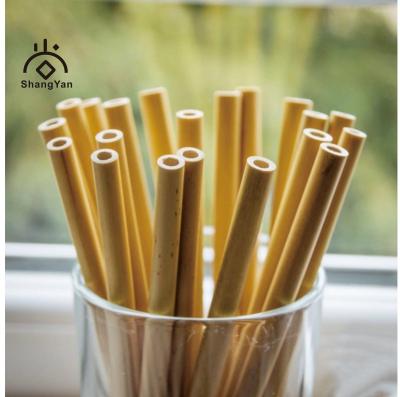 China 23cm long Straw Wholesale Drinking Bamboo Healthy Yellow Green Reuse 100% Natural Disposable for sale