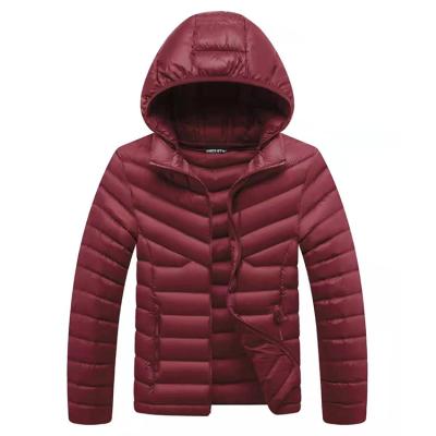 China Amazon hot-sales winter waterproof detachable hood padded cotton winter jacket with polyamide lining accept custom for sale