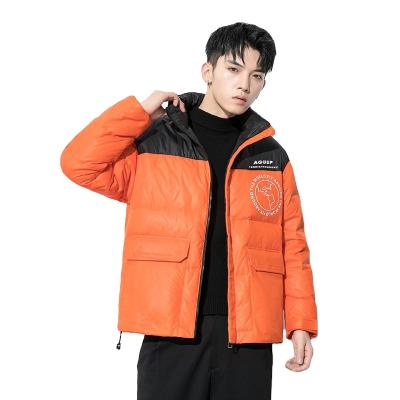 China New Arrival QUICK DRY Winter Down Jacket 90 White Duck Down Accept Custom Logo for sale