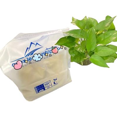 China Factory Price Eco-friendly Manufacturer Supplier Carrier With Handles Grocery Bag Shopping Bag Biodegradable Bags for sale