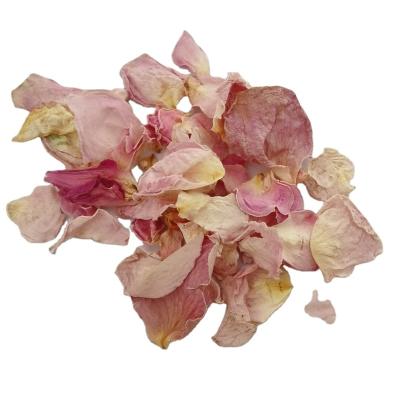 China Pure factories dried rose petals flowers to import natural flowers for sale