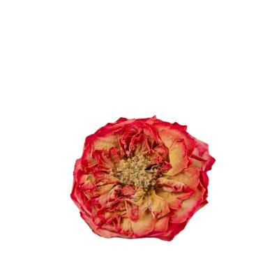 China Pure Plants Dried Natural Dried Rose Petals Flowers Wholesale Dried Rose Petals for sale