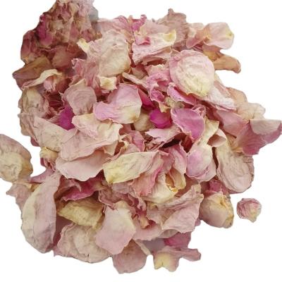 China Pure Plants Dried Flower Petals Dried Bulk Flowers Dried Roses for sale