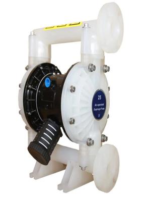 China Petrochemistry Acid Diaphragm Pump / Chemical Twin Diaphragm Pump 1 Inch for sale