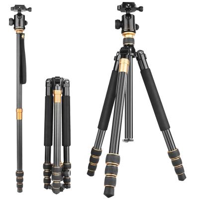 China Mini Light Carbon Fiber Tripod Simple Style Premium Digital Camera Quality New Design for sale