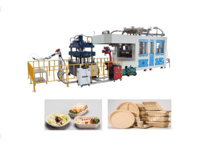 China Biodegradable Paper Pulp Molding Machinery Food Container Disposable 1 Year Guarantee for sale