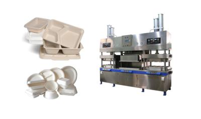 China Disposable Pulp Molding Bowl Cup Machine en venta