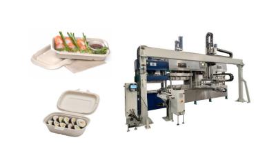 China Disposable Pulp Molding Meat Tray Production Machine for sale