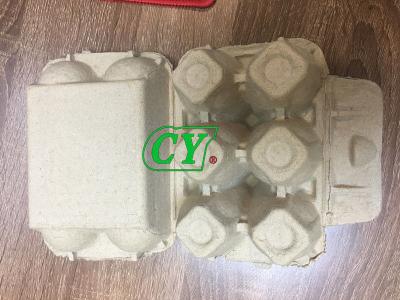 China Biodegradable Recycled Paper Pulp Mold 4 Cell 6 Cell 1 Year Warranty for sale