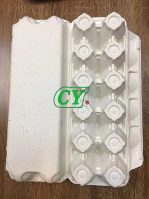 China Biodegradable Moulded Paper Pulp Products Pulp Egg Tray Recycle Egg Box for sale