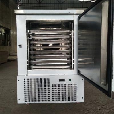 China Commercial Single-temperature Blast Freezer For Seafood for sale