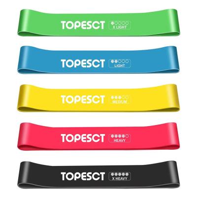 China Skin-friendly resistance fitness exercise loop bands with 5 different resistance levels - ideal for Exb001 for sale