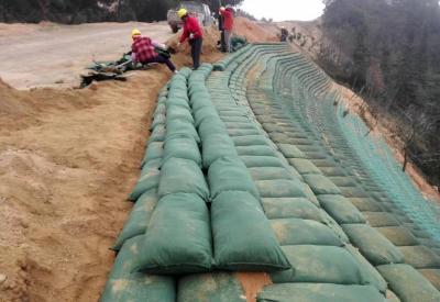 Κίνα 100% Geotextile PP άσπρες Geotextile Geobag μη υφαμένες τσάντες υφάσματος για την όχθη ποταμού προς πώληση