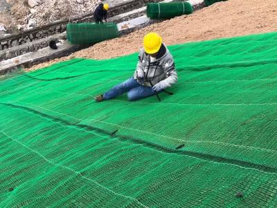 Cina drenaggio Mat For Construction di Geomat del controllo dell'erosione dell'HDPE di 3mm in vendita