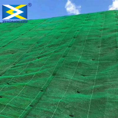 Cina Tre strati di 3D di plastica hanno rinforzato il drenaggio Mat For Slope Erosion Control di Geomat in vendita