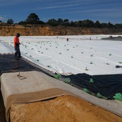 Κίνα Αδιάβροχη κουβέρτα Bentonite σύνθετο Αδιάβροχα Γεωσυνθετικά Clay Liner προς πώληση