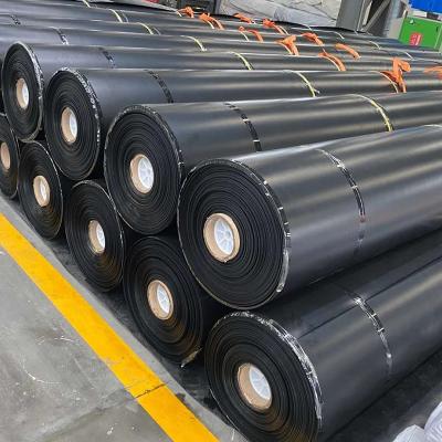 Cina 0.3mm/0.5mm/0.75mm/1mm/1.5mm/2mm Carta di plastica a membrana nera HDPE LDPE LLDPE Vergine Geomembrane Liner per pesci gamberetti F in vendita