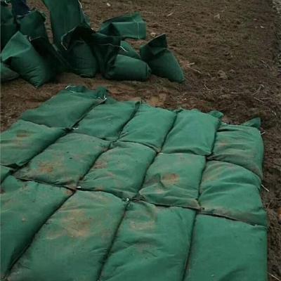 China Polypropylene Geobag Plant Grow Bags Sand Filling Bags / Geobags Geotextile Soilbags for sale