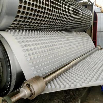 Cina Progetto di rivestimento della membrana di drenaggio a fossette PVC Tavola di drenaggio a fossette perforata Lavoro di fondamento Soluzione idrica Soluzione idrica in vendita