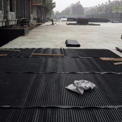 China Roof Dimpled Drainage Membrane Board Drainage Ditch Board And Versatile Wall Board For Drainage Solutions for sale