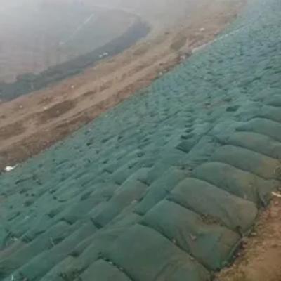 China Non Woven Geotextile Sand Bag Geotextile Planting Grow Bags for sale