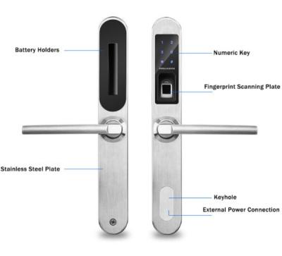 China 2019 Goodum new manufacture Europe standard mortise digital smart door lock for sale