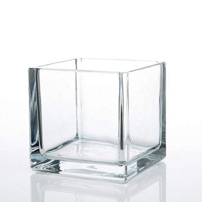 China Cube eco-friendly clear glass vase, contemporary heavy square flower pot for sale